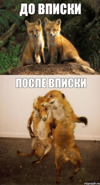 До вписки После вписки