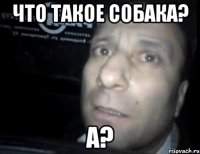 что такое собака? а?