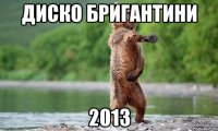 диско бригантини 2013