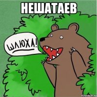 нешатаев 