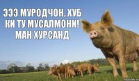 ЭЭЭ МУРОДЧОН, ХУБ КИ ТУ МУСАЛМОНИ! МАН ХУРСАНД