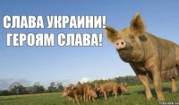 Слава украини! Героям слава!