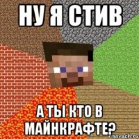 ну я стив а ты кто в майнкрафте?