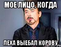 мое лицо, когда леха выебал корову