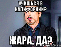 учишься в калифорнии? жара, да?