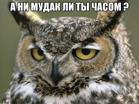 а ни мудак ли ты часом ? 
