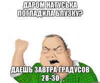 даром натуська погладила блузку? даешь завтра градусов 28-30