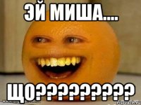 эй миша.... що???