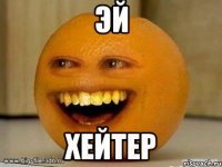 эй хейтер