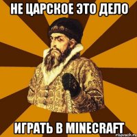 не царское это дело играть в minecraft