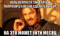 нельзя просто так взять и попросить у весов сделать выбор на это может уйти месяц