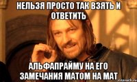 нельзя просто так взять и ответить альфапрайму на его замечания матом на мат