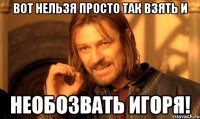 вот нельзя просто так взять и необозвать игоря!