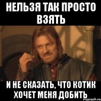 нельзя так просто взять и не сказать, что котик хочет меня добить