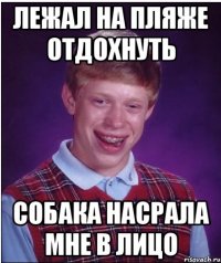 лежал на пляже отдохнуть собака насрала мне в лицо