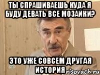 ты спрашиваешь куда я буду девать все мозайки? это уже совсем другая история