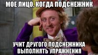 мое лицо, когда подснежник учит другого подснежника выполнять упражнения