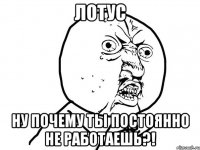 лотус ну почему ты постоянно не работаешь?!