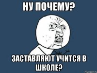 ну почему? заставляют учится в школе?