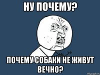 ну почему? почему собаки не живут вечно?