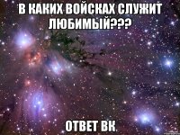 в каких войсках служит любимый??? ответ вк