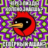 через пизды колено,знаешь? северный ашан?