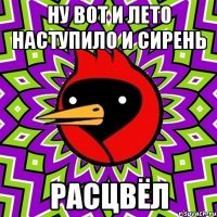 ну вот и лето наступило и сирень расцвёл