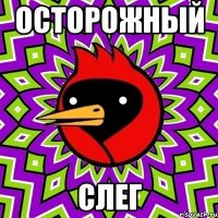 осторожный слег