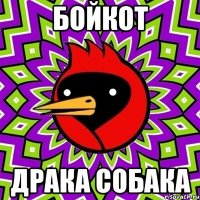 бойкот драка собака