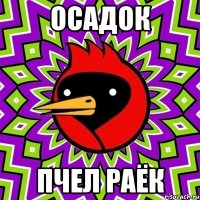 осадок пчел раёк