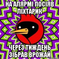 на алярмі посіяв ліхтарик через тиждень зібрав врожай