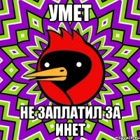 умет не заплатил за инет