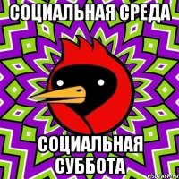 социальная среда социальная суббота