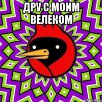 дру с моим велеком 