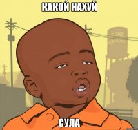 какой нахуй сула