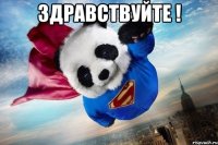 здравствуйте ! 