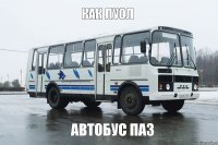 как луол автобус паз