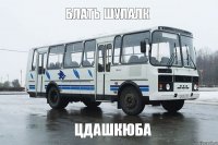 блать шулалк цдашкюба