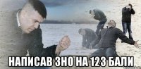  написав зно на 123 бали