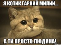 я котик гарний милий... а ти просто людина!.