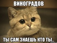 виноградов ты сам знаешь кто ты..