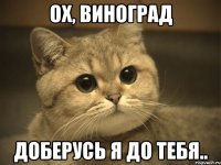 ох, виноград доберусь я до тебя..