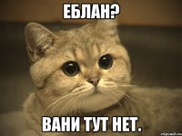 еблан? вани тут нет.