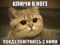 ключи в ноге пойду поиграюсь с ними