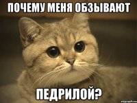 почему меня обзывают педрилой?