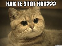 как те этот кот??? 