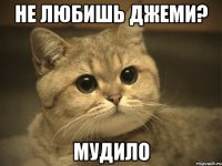 не любишь джеми? мудило