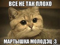 все не так плохо мартышка молодэц :3