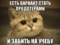 есть вариант стать продотерами и забить на учебу