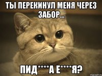 ты перекинул меня через забор... пид****а е****я?